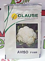 Семена Капуста Авизо цветная , 1000 сем - Агроленд
