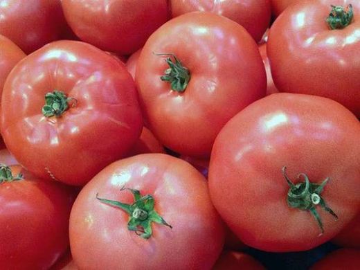 Семена томат Эсмира F1 100 шт - Агроленд
