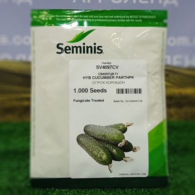 Семена Огурец SV 4097 F1 1000 шт - Агроленд