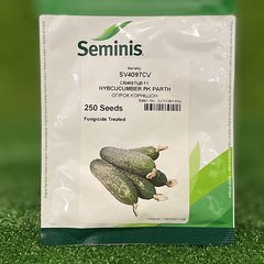 Семена Огурец SV 4097 F1 250 шт - Агроленд