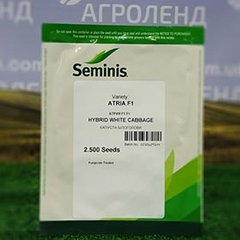 Семена капуста Атрия F1 2500 шт - Агроленд