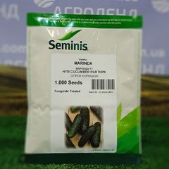 Семена огурец Маринда F1 1000 шт - Агроленд