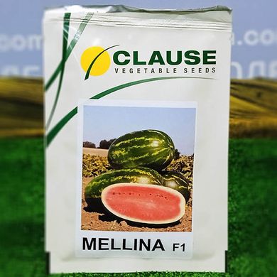 Семена арбуз Мелина F1 1000 шт - Агроленд