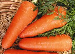 Семена Морковь Мирафлорес, 100 000шт - Агроленд