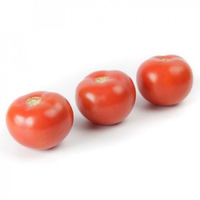 Семена томат Аламина F1 100 шт - Агроленд