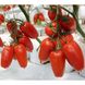 Семена томат Айдар F1 250 шт