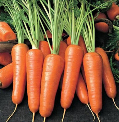 Семена морковь Абако F1 400 шт - Агроленд